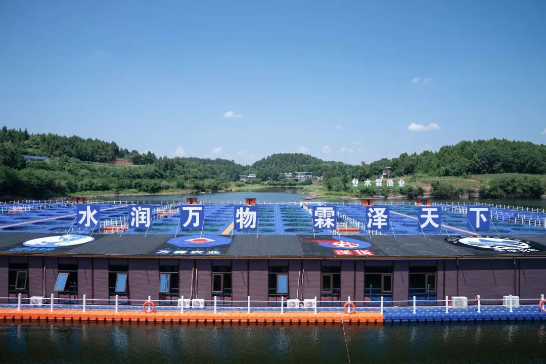 1757071996565804.png 图片2.png