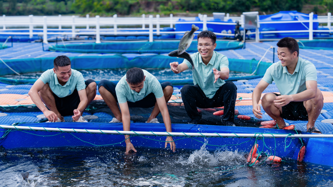 1757072045464315.png 图片3.png