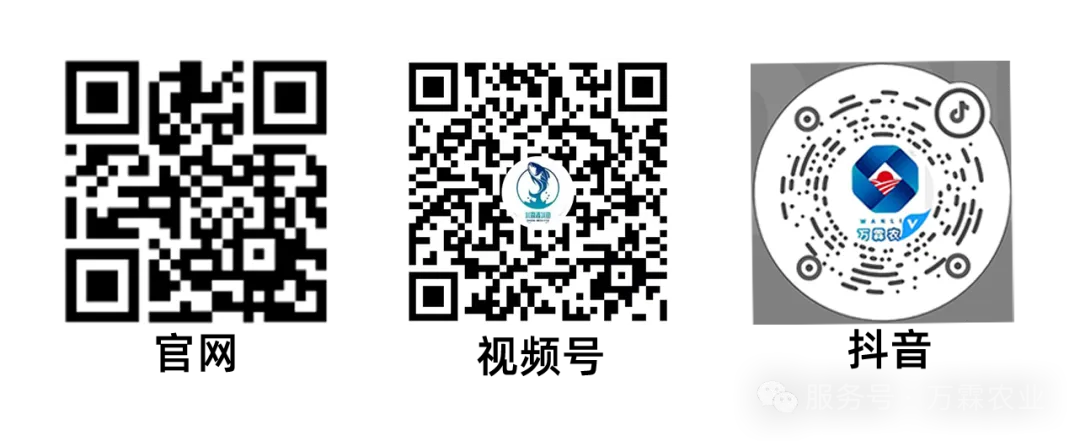 1757072114905425.png 图片6.png