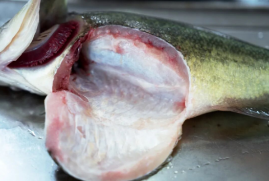 1757073393514230.png 图片5_副本.png