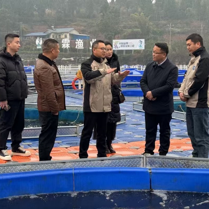 1769936174993516.jpg 2.jpg