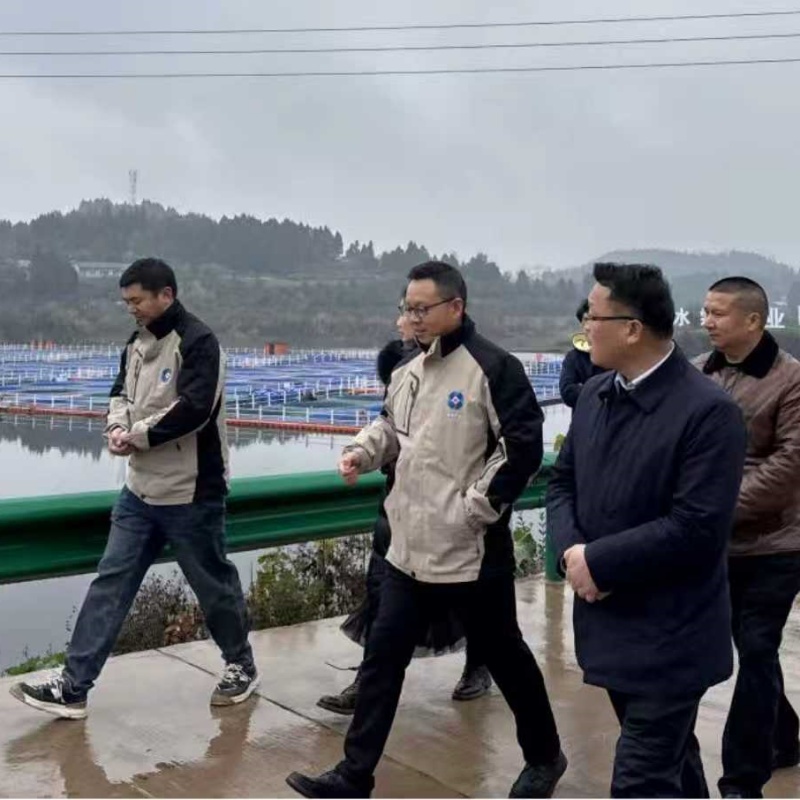 1769936194700458.jpg 3.jpg