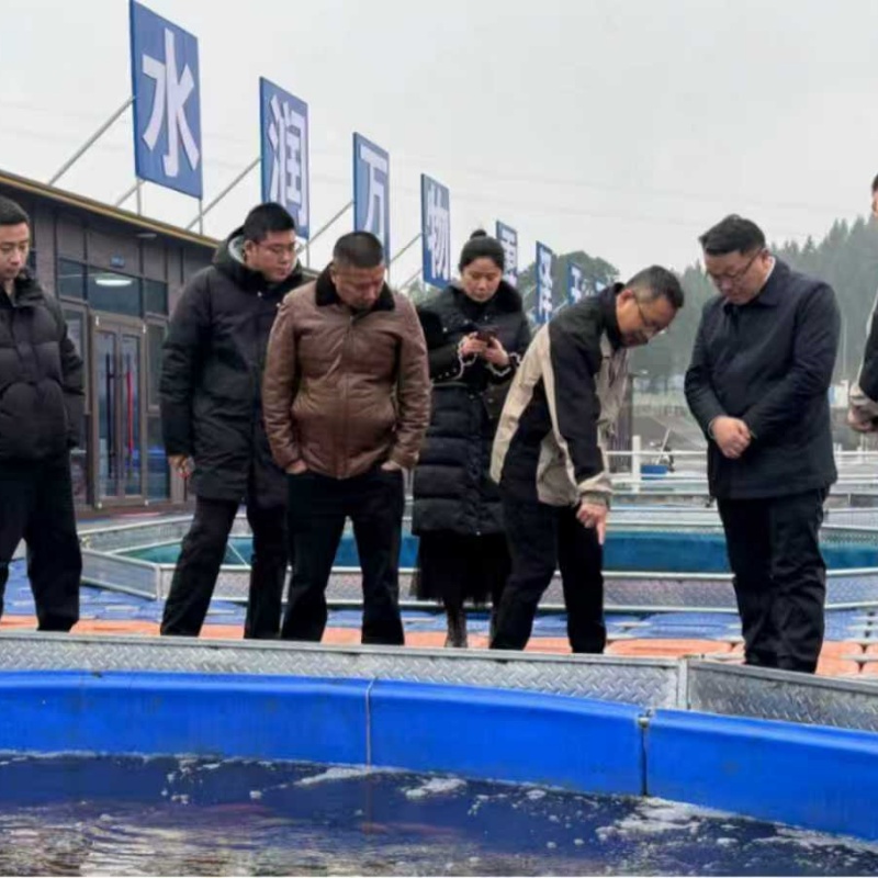 1769936205400989.jpg 4.jpg